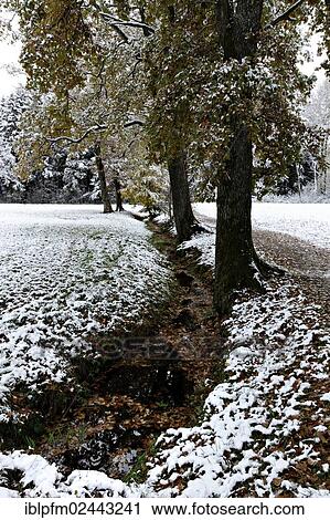 "Creek lined with trees and fresh snow in autumn, Chiemgau, Upper Bavaria, Germany, Europe" View Large Photo Image Stock Image - "Creek lined with trees and fresh snow in autumn, Chiemgau, Upper Bavaria, Germany, Europe". Fotosearch