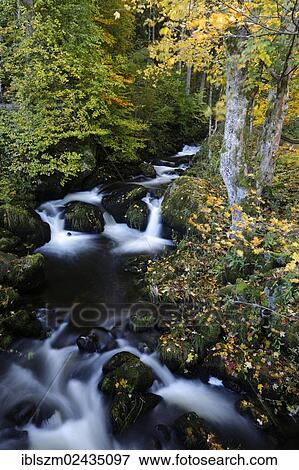 "Creek, Triberg in the Black Forest, Baden-Wuerttemberg, Germany, Europe" View Large Photo Image Stock Photo - "Creek, Triberg in the Black Forest, Baden-Wuerttemberg, Germany, Europe". Fotosearch