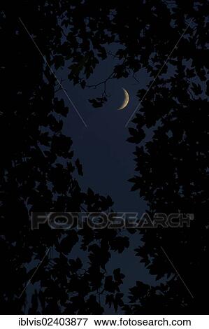 Crescent moon and forest View Large Photo Image Stock Photo - Crescent moon and forest. Fotosearch
