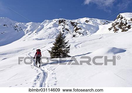 "Cross-country skier ascending Wurzer Alpenspitz Mountain in the Ridnauntal Valley, oberhalb von Entholz, South Tyrol province, Trentino-Alto Adige, Italy, Europe" View Large Photo Image Stock Photo - "Cross-country skier ascending Wurzer Alpenspitz Mountain in the Ridnauntal Valley, oberhalb von Entholz, South Tyrol province, Trentino-Alto Adige, Italy, Europe". Fotosearch