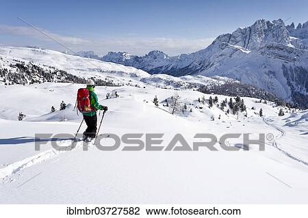 "Cross country skier descending Juribrutto Mountain, looking towards the Pala Group, with Passo Valles pass below, Trentino Province, Trentino-Alto Adige, Italy, Europe" View Large Photo Image Stock Image - "Cross country skier descending Juribrutto Mountain, looking towards the Pala Group, with Passo Valles pass below, Trentino Province, Trentino-Alto Adige, Italy, Europe". Fotosearch