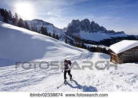 "Cross-country skier near Woerndle Loch Alm alpine pasture, during the ascent to Zendleser Kofel Mountain in the Villnoess Valley above Zanser Alm, looking towards the Odle Mountain Group with Sass Rigais Mountain, Alto Adige, Italy, Europe" View Large Photo Image Picture - "Cross-country skier near Woerndle Loch Alm alpine pasture, during the ascent to Zendleser Kofel Mountain in the Villnoess Valley above Zanser Alm, looking towards the Odle Mountain Group with Sass Rigais Mountain, Alto Adige, Italy, Europe". Fotosearch