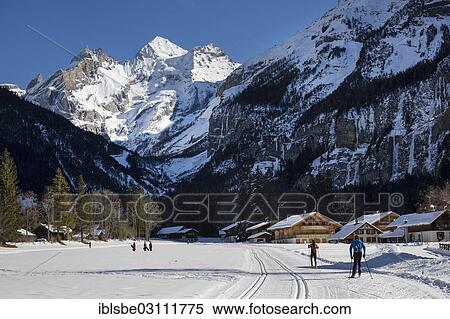 "Cross-country skiers in a winter landscape, Blueemlisalp Massif in the middle, Bernese Alps, Kandersteg, Canton of Bern, Switzerland, Europe" View Large Photo Image Stock Photography - "Cross-country skiers in a winter landscape, Blueemlisalp Massif in the middle, Bernese Alps, Kandersteg, Canton of Bern, Switzerland, Europe". Fotosearch