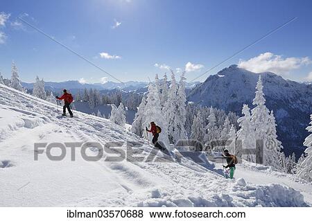"Cross-country skiers on Tegel Mountain, Saeuling Mountain at the rear, Tegelberg, Ammergauer Alpen, Schwangau, Ostallgau, Allgau, Schwabia, Bavaria, Germany, Europe" View Large Photo Image Stock Photo - "Cross-country skiers on Tegel Mountain, Saeuling Mountain at the rear, Tegelberg, Ammergauer Alpen, Schwangau, Ostallgau, Allgau, Schwabia, Bavaria, Germany, Europe". Fotosearch
