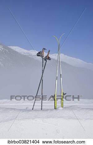 "Cross-country skis and ski poles stuck in the snow, Bever, Engadine, Canton of Graubunden or Grisons, Switzerland, Europe" View Large Photo Image Picture - "Cross-country skis and ski poles stuck in the snow, Bever, Engadine, Canton of Graubunden or Grisons, Switzerland, Europe". Fotosearch