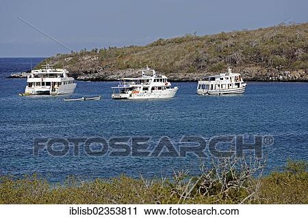 "Cruise shops of Santa Fe Island, Isla Santa Fe, Galapagos, UNESCO World Heritage Site, Ecuador, South America" View Large Photo Image Stock Image - "Cruise shops of Santa Fe Island, Isla Santa Fe, Galapagos, UNESCO World Heritage Site, Ecuador, South America". Fotosearch