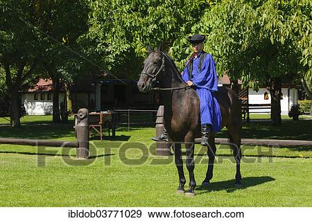 Stock Photo - "Csikos on horseback, Tanyacsarda stud, Kecskemet, Puszta, Hungary, Europe". Fotosearch
