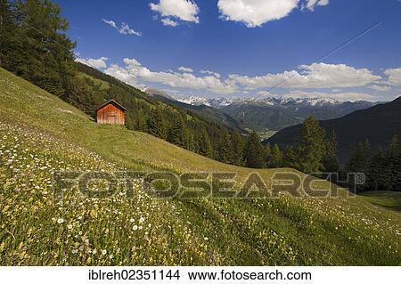 Picture - "Cultural landscape with a barn, Fliess, Tyrol, Austria, Europe". Fotosearch