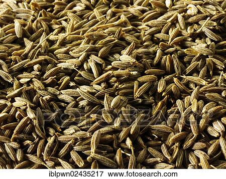 Cumin seeds View Large Photo Image Stock Photo - Cumin seeds. Fotosearch