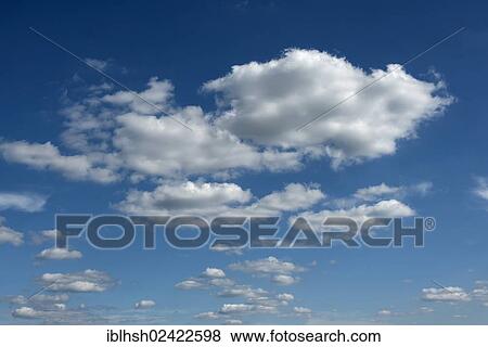 Cumulus clouds in a blue sky View Large Photo Image Stock Photo - Cumulus clouds in a blue sky. Fotosearch