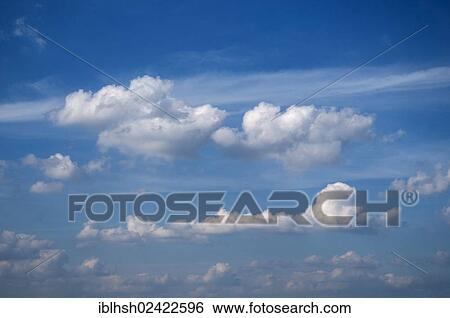 Cumulus clouds in rows in a blue sky View Large Photo Image Stock Photograph - Cumulus clouds in rows in a blue sky. Fotosearch