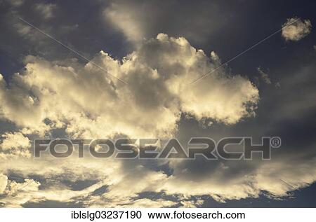 Stock Image - Cumulus clouds in the evening light. Fotosearch