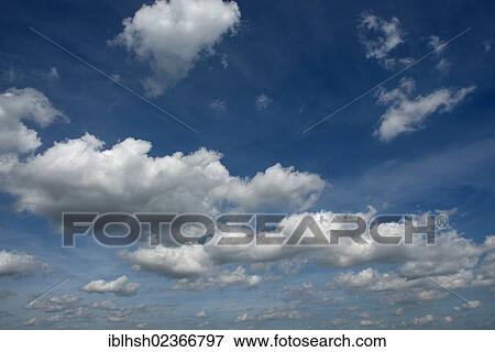 Cumulus clouds in the sky View Large Photo Image Stock Photo - Cumulus clouds in the sky. Fotosearch