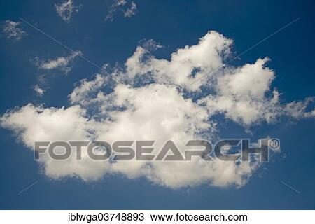 Cumulus clouds View Large Photo Image Stock Image - Cumulus clouds. Fotosearch