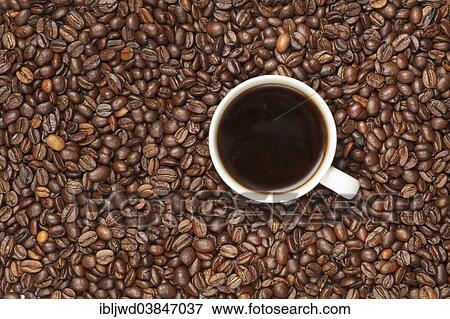 Cup of coffee on coffee beans View Large Photo Image Stock Photo - Cup of coffee on coffee beans. Fotosearch