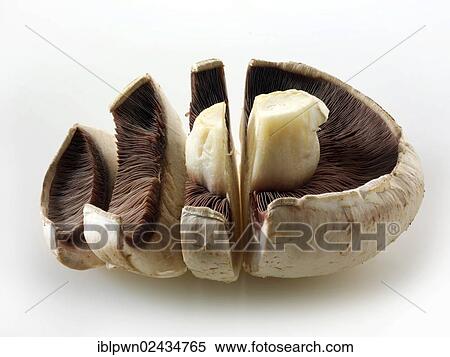 Cut mushroom View Large Photo Image Stock Photography - Cut mushroom. Fotosearch