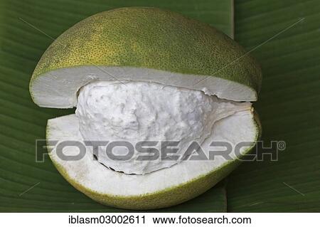 Stock Image - Cut Pomelo fruit on a banana leaf. Fotosearch
