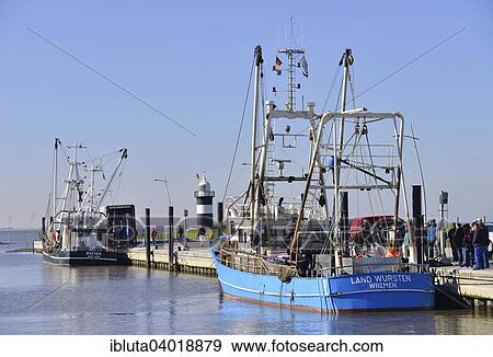"Cutters in the harbour with Kleiner Preusse or Little Prussian Lighthouse, North Sea resort of Wremen, Cuxhaven district, Lower Saxony, Germany, Europe" View Large Photo Image Stock Photo - "Cutters in the harbour with Kleiner Preusse or Little Prussian Lighthouse, North Sea resort of Wremen, Cuxhaven district, Lower Saxony, Germany, Europe". Fotosearch