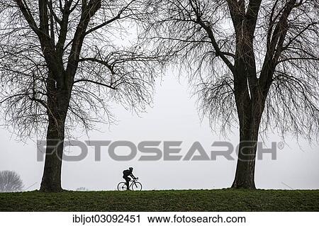 "Cyclist, dreary winter weather, fog, bare trees, bei Stockum, D? ƒsseldorf, North Rhine-Westphalia, Germany, Europe" View Large Photo Image Stock Image - "Cyclist, dreary winter weather, fog, bare trees, bei Stockum, D? ƒsseldorf, North Rhine-Westphalia, Germany, Europe". Fotosearch