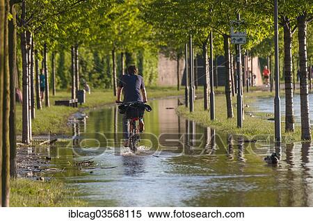 "Cyclist on the flooded promenade of the Main River, Frankfurt am Main, Hesse, Germany, Europe" View Large Photo Image Stock Photography - "Cyclist on the flooded promenade of the Main River, Frankfurt am Main, Hesse, Germany, Europe". Fotosearch