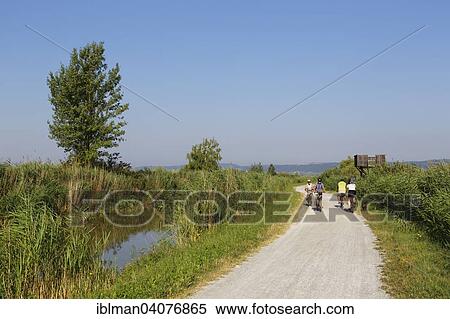 "Cyclists at the canal in Purbach am Neusiedler See, Northern Burgenland, Burgenland, Austria, Europe" View Large Photo Image Stock Photography - "Cyclists at the canal in Purbach am Neusiedler See, Northern Burgenland, Burgenland, Austria, Europe". Fotosearch