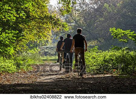 "Cyclists on a forest path, Berlin, Germany, Europe" View Large Photo Image Stock Image - "Cyclists on a forest path, Berlin, Germany, Europe". Fotosearch