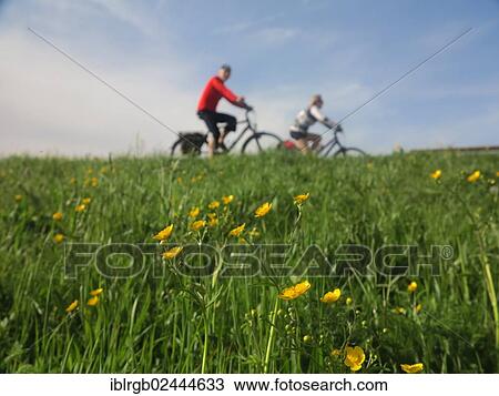 "Cyclists on a spring meadow near Lake Constance, Fussach, Vorarlberg, Austria, Europe" View Large Photo Image Stock Image - "Cyclists on a spring meadow near Lake Constance, Fussach, Vorarlberg, Austria, Europe". Fotosearch