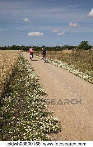 "Cyclists on the coastal bicycle path, Fehmarn island, Schleswig-Holstein, Germany, Europe" View Large Photo Image Stock Photo - "Cyclists on the coastal bicycle path, Fehmarn island, Schleswig-Holstein, Germany, Europe". Fotosearch