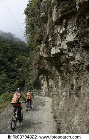 "Cyclists on the """"Road of Death"""", Ruta de La Muerte, between La Paz and Coroico, Yungas, Department of La Paz, Bolivia, South America" View Large Photo Image Stock Image - "Cyclists on the """"Road of Death"""", Ruta de La Muerte, between La Paz and Coroico, Yungas, Department of La Paz, Bolivia, South America". Fotosearch