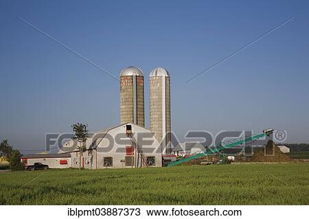 "Dairy farm building with two grain silos, Saint-Jean, Ile d'Orleans, Quebec, Canada, North America" View Large Photo Image Stock Image - "Dairy farm building with two grain silos, Saint-Jean, Ile d'Orleans, Quebec, Canada, North America". Fotosearch