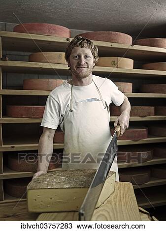 "Dairyman cutting a mountain cheese, Steinbergalm, Inneralpbach, Alpbach, Tyrol, Austria, Europe" View Large Photo Image Stock Image - "Dairyman cutting a mountain cheese, Steinbergalm, Inneralpbach, Alpbach, Tyrol, Austria, Europe". Fotosearch