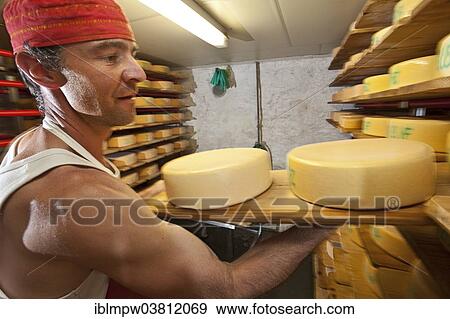 "Dairyman storing cheese wheels produced by him in the cheese cellar, Alp Gun, Graubunden, Switzerland, Europe" View Large Photo Image Stock Photo - "Dairyman storing cheese wheels produced by him in the cheese cellar, Alp Gun, Graubunden, Switzerland, Europe". Fotosearch