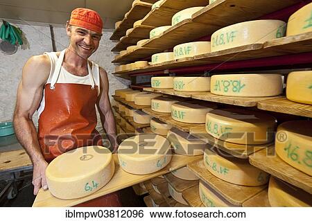 "Dairyman with cheese wheels manufactured by him in his cheese cellar, Alp Gun, Graubunden, Switzerland, Europe" View Large Photo Image Stock Photograph - "Dairyman with cheese wheels manufactured by him in his cheese cellar, Alp Gun, Graubunden, Switzerland, Europe". Fotosearch