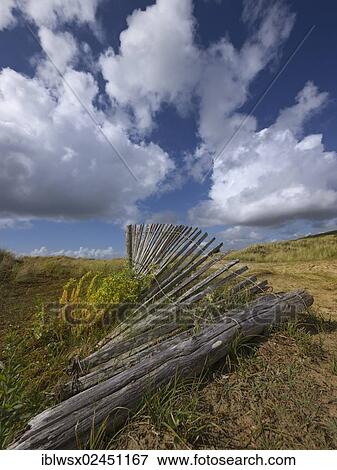 Stock Photo - "Damaged dune protection fence in the Bay of Douarnenez, Finistere, Brittany, France, Europe, PublicGround, Europe". Fotosearch