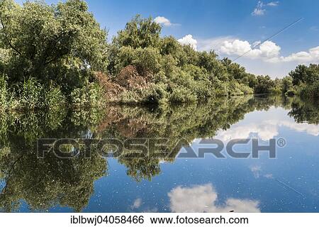 "Danube Delta, channel through the lake district, Crisan, Dobrogea, Romania, Europe" View Large Photo Image Stock Photograph - "Danube Delta, channel through the lake district, Crisan, Dobrogea, Romania, Europe". Fotosearch