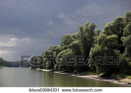 "Danube River, Danube Delta Biosphere Reserve, near Tulcea, Romania, Europe" View Large Photo Image Stock Image - "Danube River, Danube Delta Biosphere Reserve, near Tulcea, Romania, Europe". Fotosearch