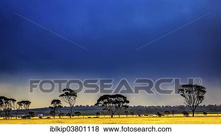 "Dark thunderstorm clouds approaching, Western Australia, Australia, Oceania" View Large Photo Image Stock Photo - "Dark thunderstorm clouds approaching, Western Australia, Australia, Oceania". Fotosearch