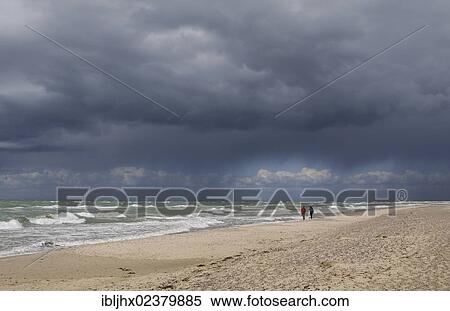 "Darsser Weststrand beach, Darsser Ort, Fischland-Darss-Zingst, Mecklenburg-Western Pomerania, Germany, Europe" View Large Photo Image Stock Photography - "Darsser Weststrand beach, Darsser Ort, Fischland-Darss-Zingst, Mecklenburg-Western Pomerania, Germany, Europe". Fotosearch