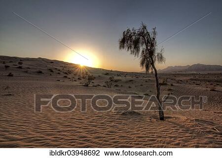 "Dasht-e Kavir or Great Salt Desert, Semnan Province, Iran, Asia" View Large Photo Image Stock Image - "Dasht-e Kavir or Great Salt Desert, Semnan Province, Iran, Asia". Fotosearch