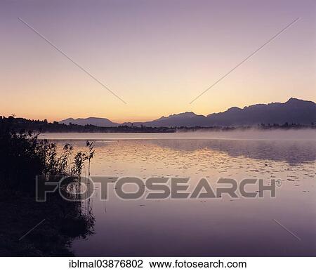 "Dawn on Hopfensee lake, Ostallgau, Allgau, Upper Bavaria, Bavaria, Germany, Europe" View Large Photo Image Stock Image - "Dawn on Hopfensee lake, Ostallgau, Allgau, Upper Bavaria, Bavaria, Germany, Europe". Fotosearch
