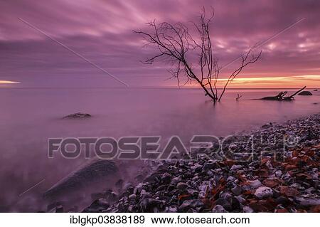 "Dawn on the coast, Jasmund National Park, Rugen, Mecklenburg-Western Pomerania, Germany, Europe" View Large Photo Image Stock Photo - "Dawn on the coast, Jasmund National Park, Rugen, Mecklenburg-Western Pomerania, Germany, Europe". Fotosearch
