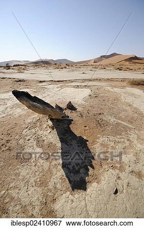 Stock Photo - "Dead tree, dune landscape at Sossusvlei, Sossusvlei, Namib Desert, Namib Naukluft Park, Namibia, Africa". Fotosearch