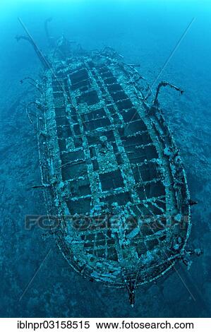Stock Photography - "Deck, Aida shipwreck, Brother Islands, Egypt, Africa". Fotosearch