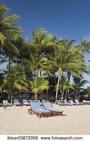 "Deckchairs on a beach with palm trees, Mae Nam Beach, Ko Samui, Thailand, Asia" View Large Photo Image Stock Photograph - "Deckchairs on a beach with palm trees, Mae Nam Beach, Ko Samui, Thailand, Asia". Fotosearch