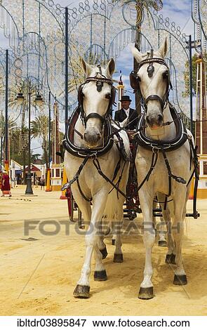 "Decorated horses and dressed up coachman at the Feria del Caballo Horse Fair, Jerez de la Frontera, Cadiz province, Andalusia, Spain, Europe" View Large Photo Image Stock Photo - "Decorated horses and dressed up coachman at the Feria del Caballo Horse Fair, Jerez de la Frontera, Cadiz province, Andalusia, Spain, Europe". Fotosearch