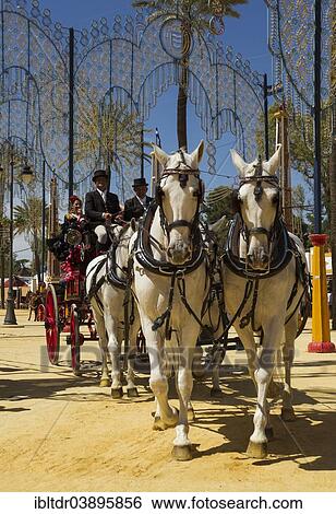 "Decorated horses and dressed up coachmen at the Feria del Caballo Horse Fair, Jerez de la Frontera, Cadiz province, Andalusia, Spain, Europe" View Large Photo Image Stock Photograph - "Decorated horses and dressed up coachmen at the Feria del Caballo Horse Fair, Jerez de la Frontera, Cadiz province, Andalusia, Spain, Europe". Fotosearch