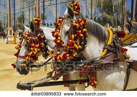 "Decorated horses at the Feria del Caballo Horse Fair, Jerez de la Frontera, Cadiz province, Andalusia, Spain, Europe" View Large Photo Image Stock Image - "Decorated horses at the Feria del Caballo Horse Fair, Jerez de la Frontera, Cadiz province, Andalusia, Spain, Europe". Fotosearch