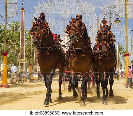 "Decorated horses at the Feria del Caballo Horse Fair, Jerez de la Frontera, Cadiz province, Andalusia, Spain, Europe" View Large Photo Image Stock Image - "Decorated horses at the Feria del Caballo Horse Fair, Jerez de la Frontera, Cadiz province, Andalusia, Spain, Europe". Fotosearch