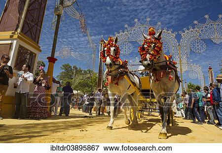 "Decorated horses at the Feria del Caballo Horse Fair, Jerez de la Frontera, Cadiz province, Andalusia, Spain, Europe" View Large Photo Image Stock Photo - "Decorated horses at the Feria del Caballo Horse Fair, Jerez de la Frontera, Cadiz province, Andalusia, Spain, Europe". Fotosearch