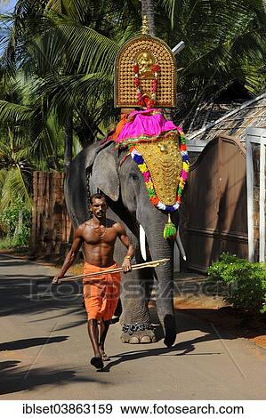 Stock Photo - "Decorated temple elephant with mahut, Thrissur, Kerala, South India, India, Asia". Fotosearch